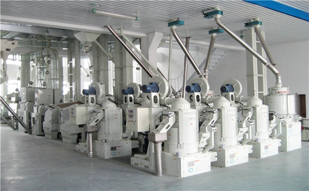 普通大米加工設備生產線.jpg 投資大米加工廠需要多少錢?需要什么大米加工設備?.jpg